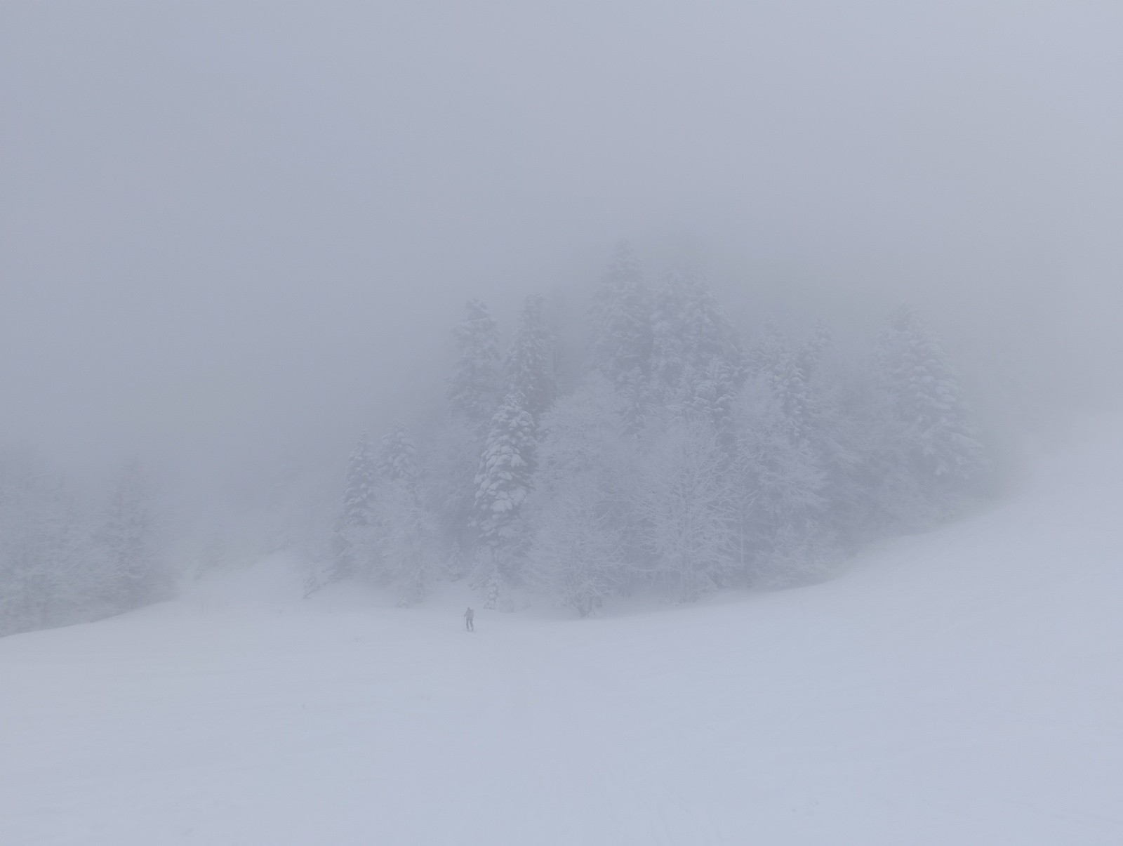 On n'y voit plus que dalle&nbsp;