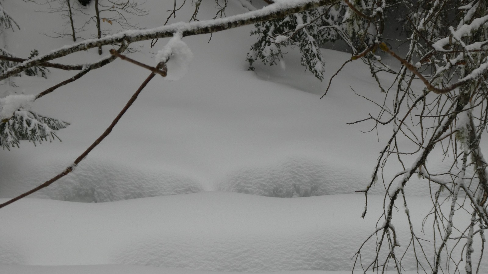 &nbsp;Le baiser de la fin