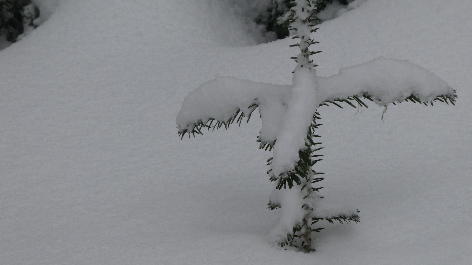 Non, ce n'est pas la croix du sommet !