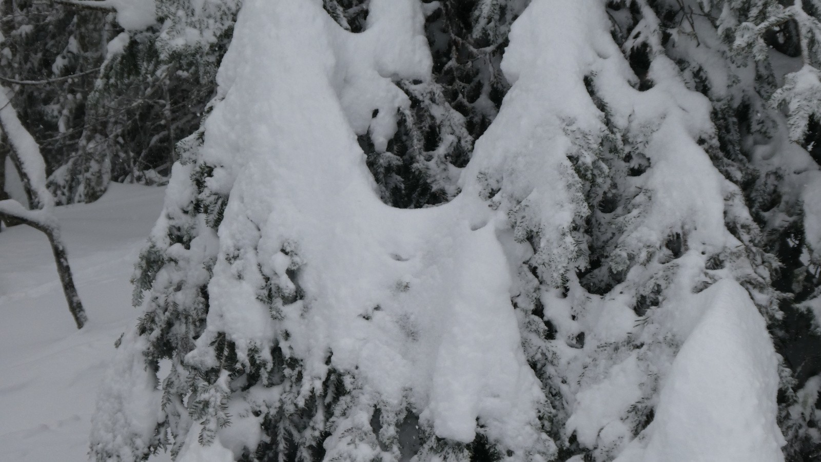 le bavoir du bébé est à l'étendage&nbsp;