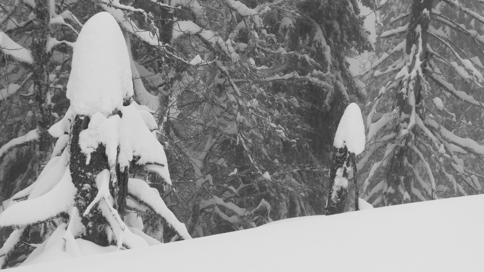 à la papeterie, on vend des crayons bien taillés&nbsp;