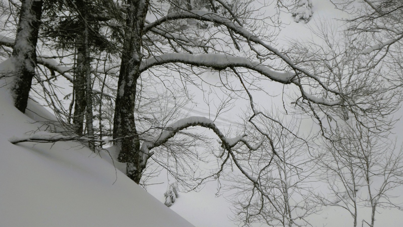 dans la remontée de Clos Colomb&nbsp;