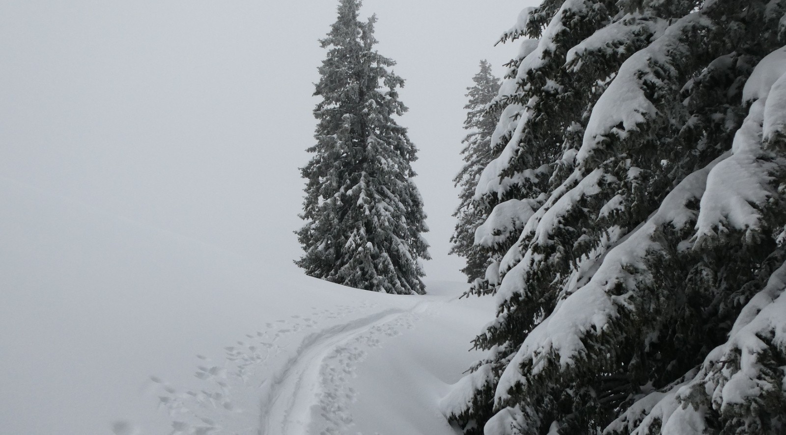 sortie des artistes&nbsp;