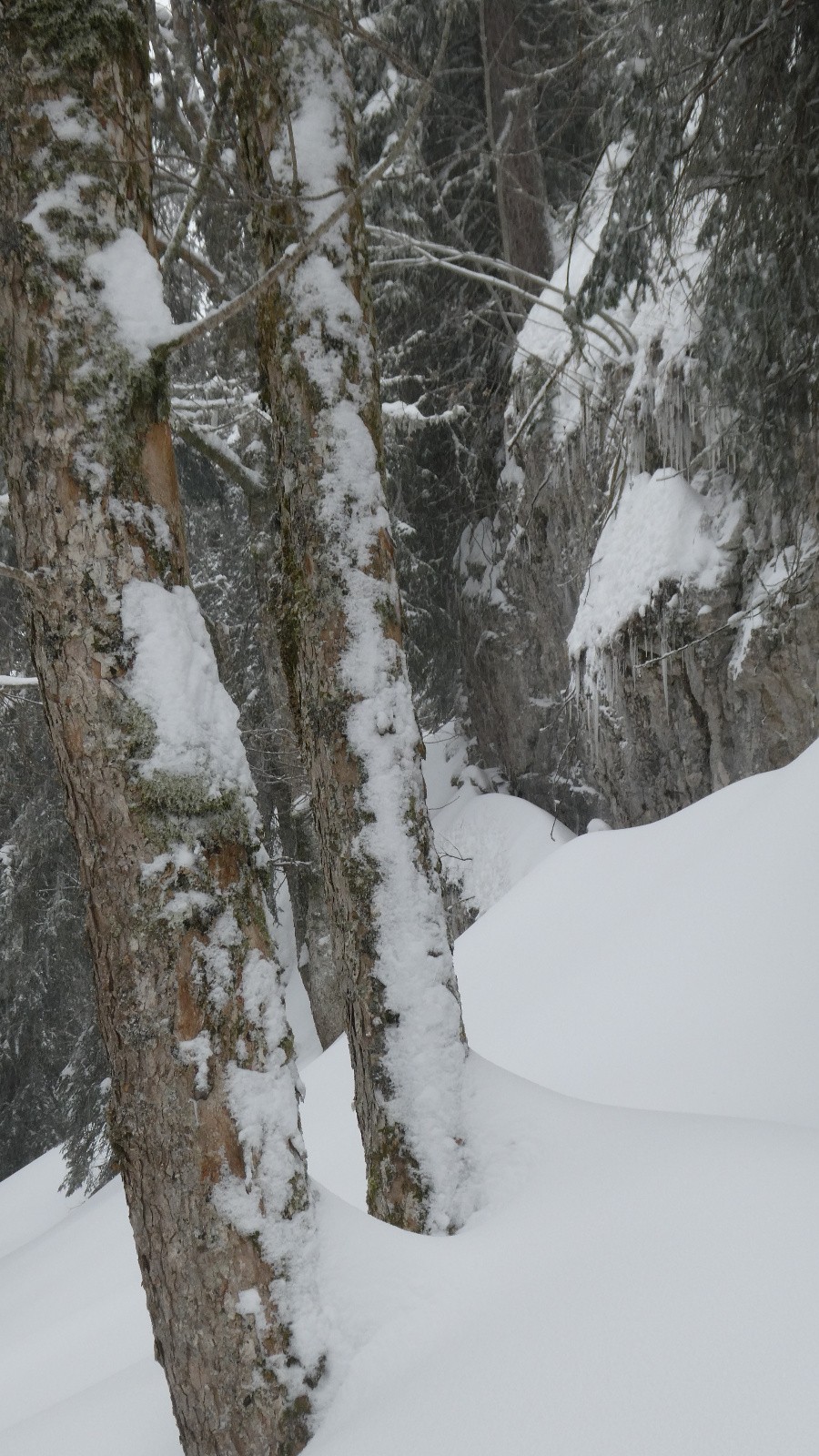 petit coupe-gorge&nbsp;&nbsp;