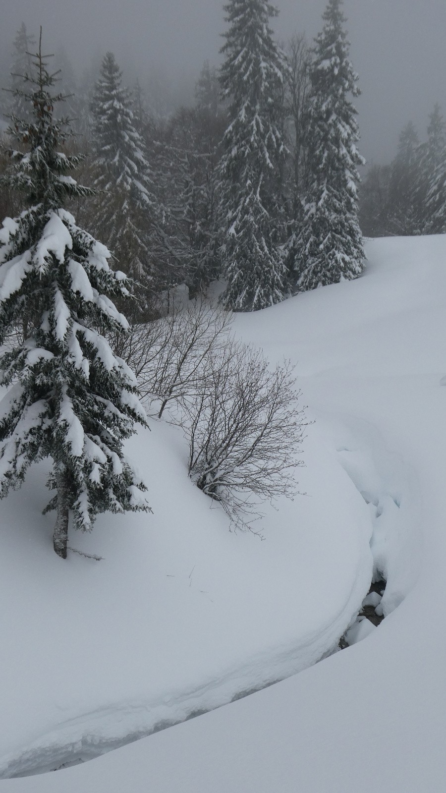 le ruisseau est près de se combler&nbsp;