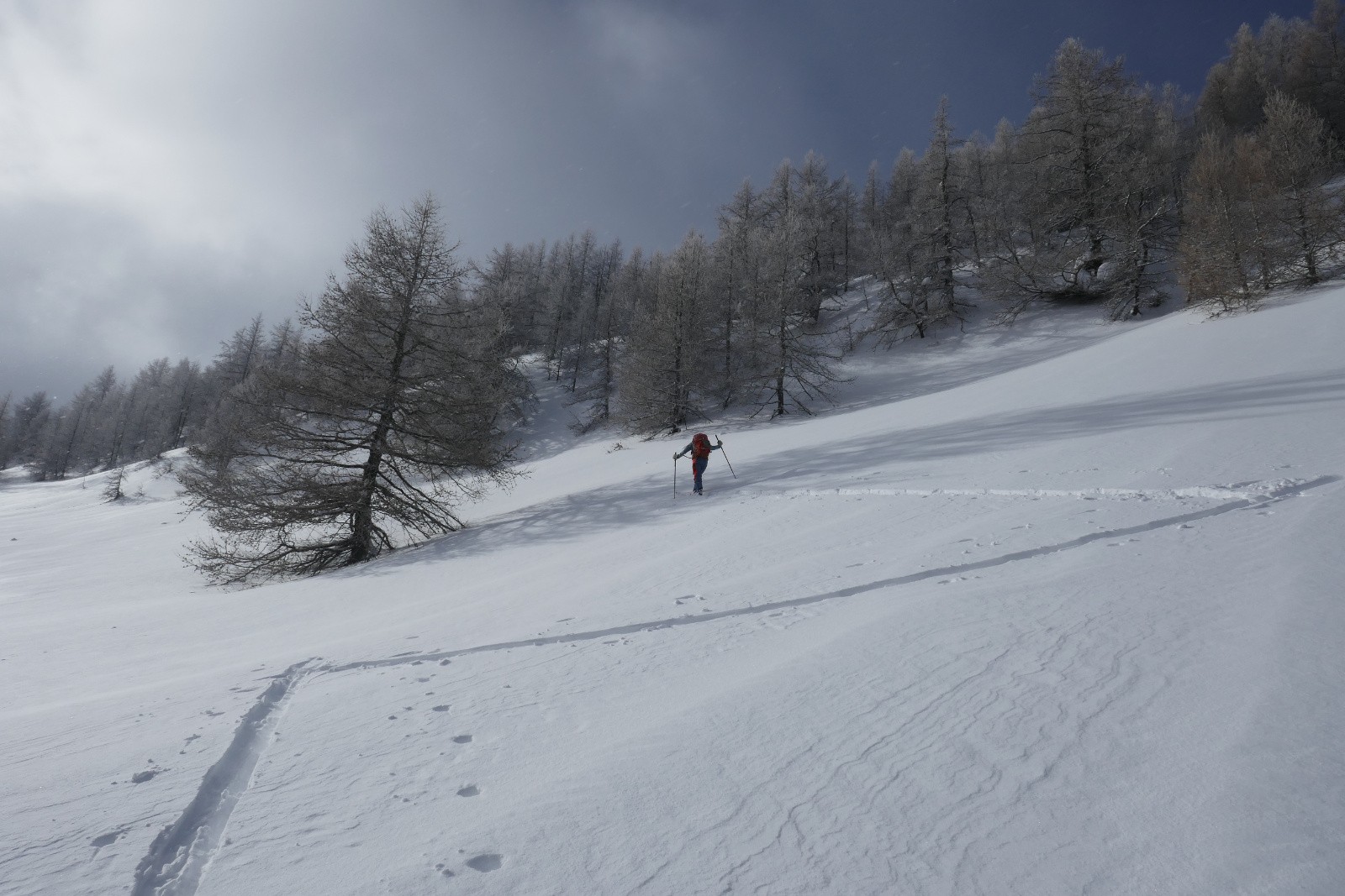 Glad' fait une trace 5* 