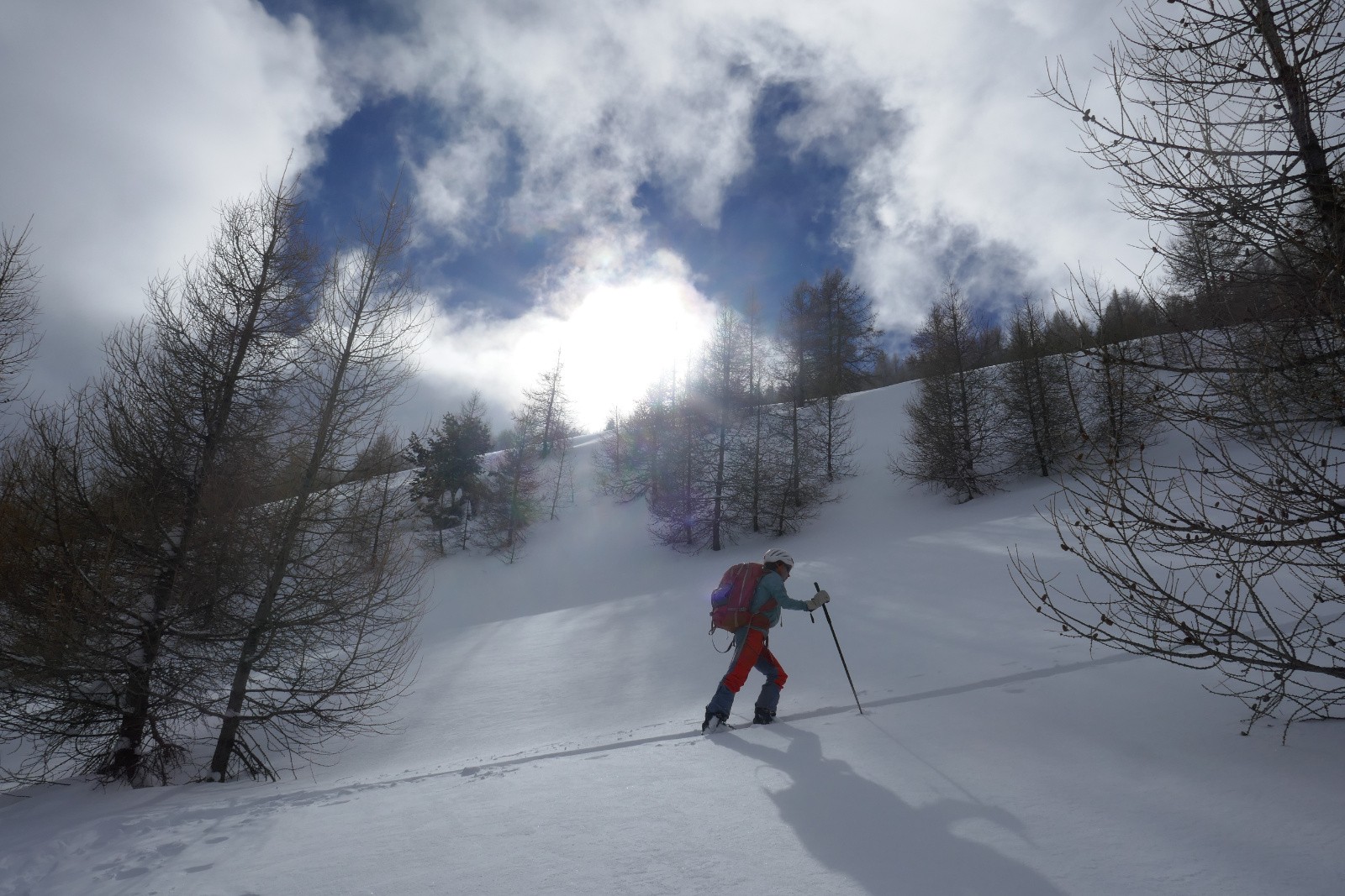 On suit notre trace matinale 