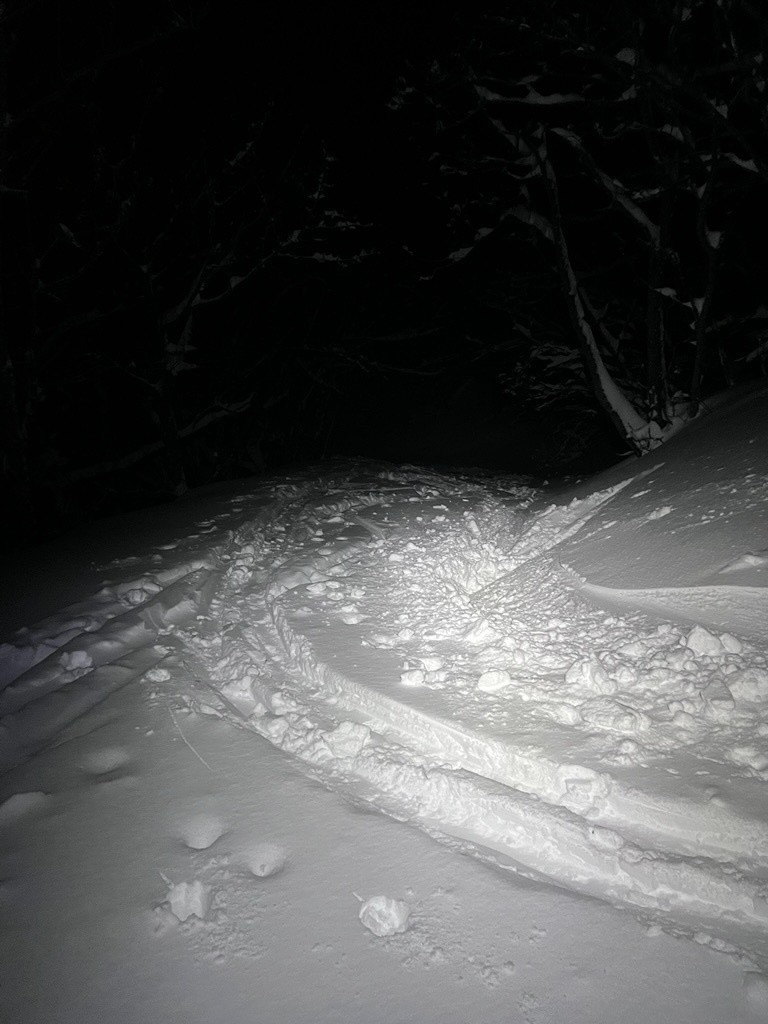 #7 dans la forêt dans la forêt
