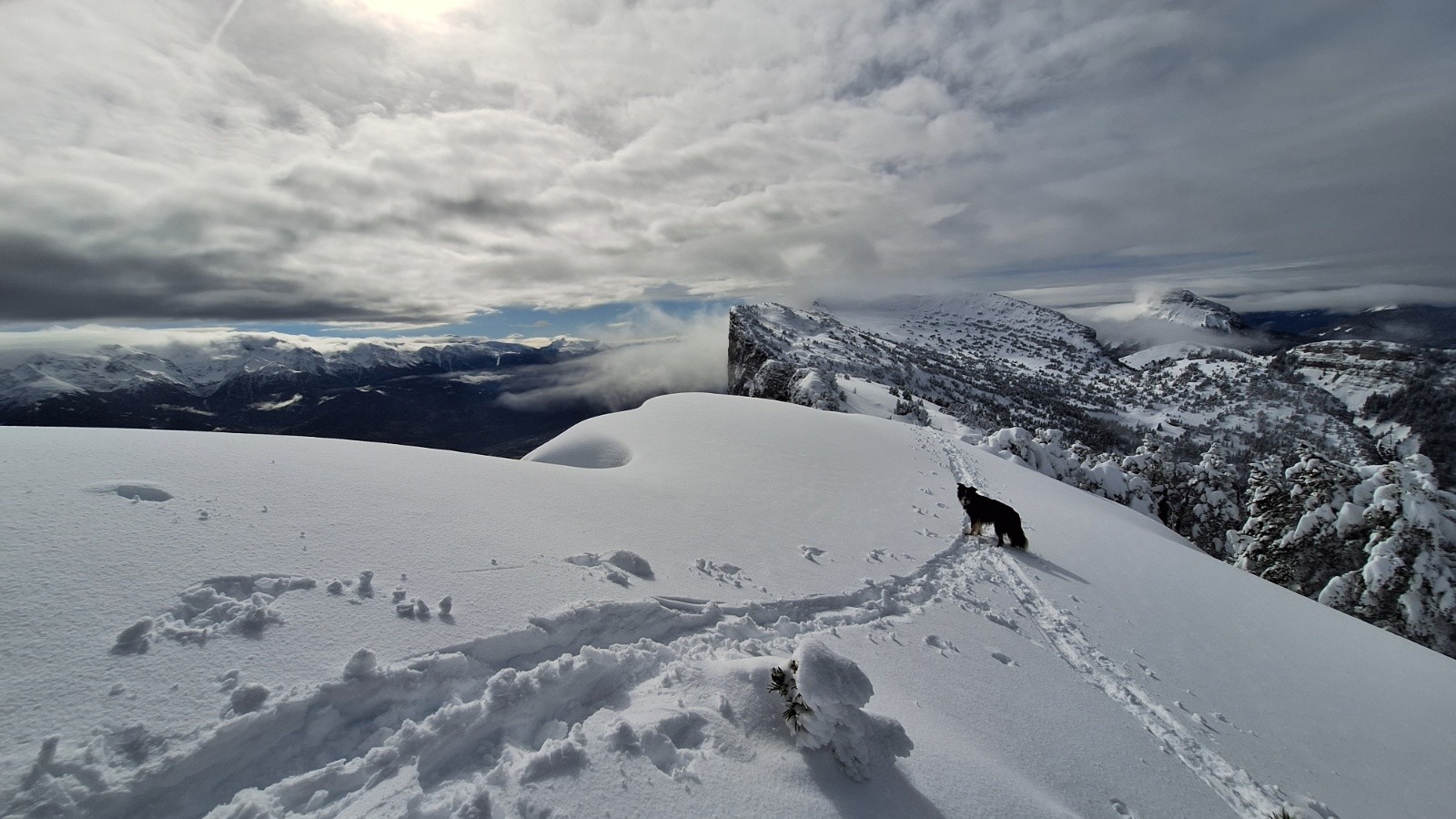 #4 Yoko impatient de descendre ! Yoko impatient de descendre !