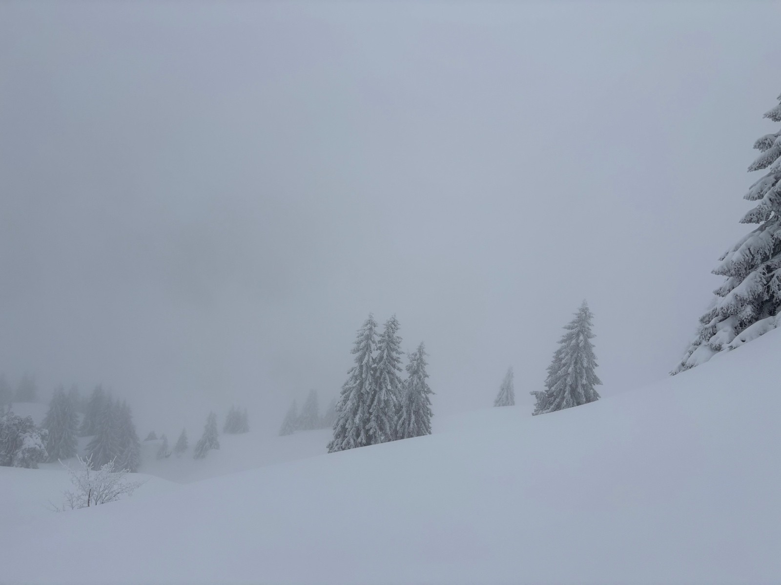 #2 Ben, pas totalement claire la situation 😊 Ben, pas totalement claire la situation 😊