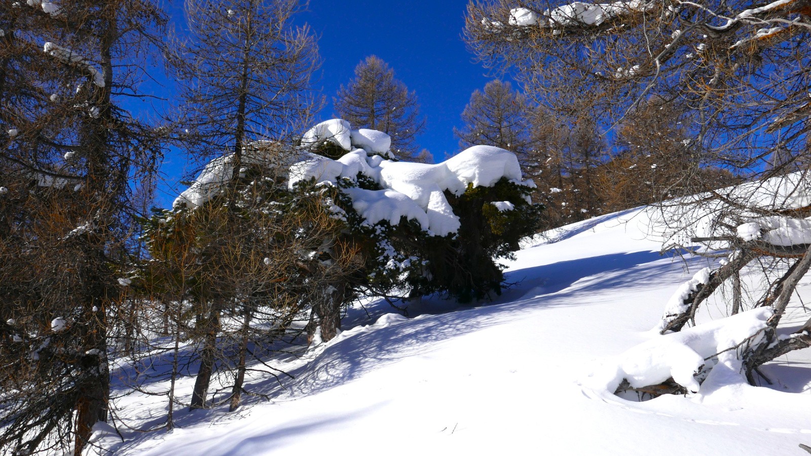 Il commence à y en avoir.