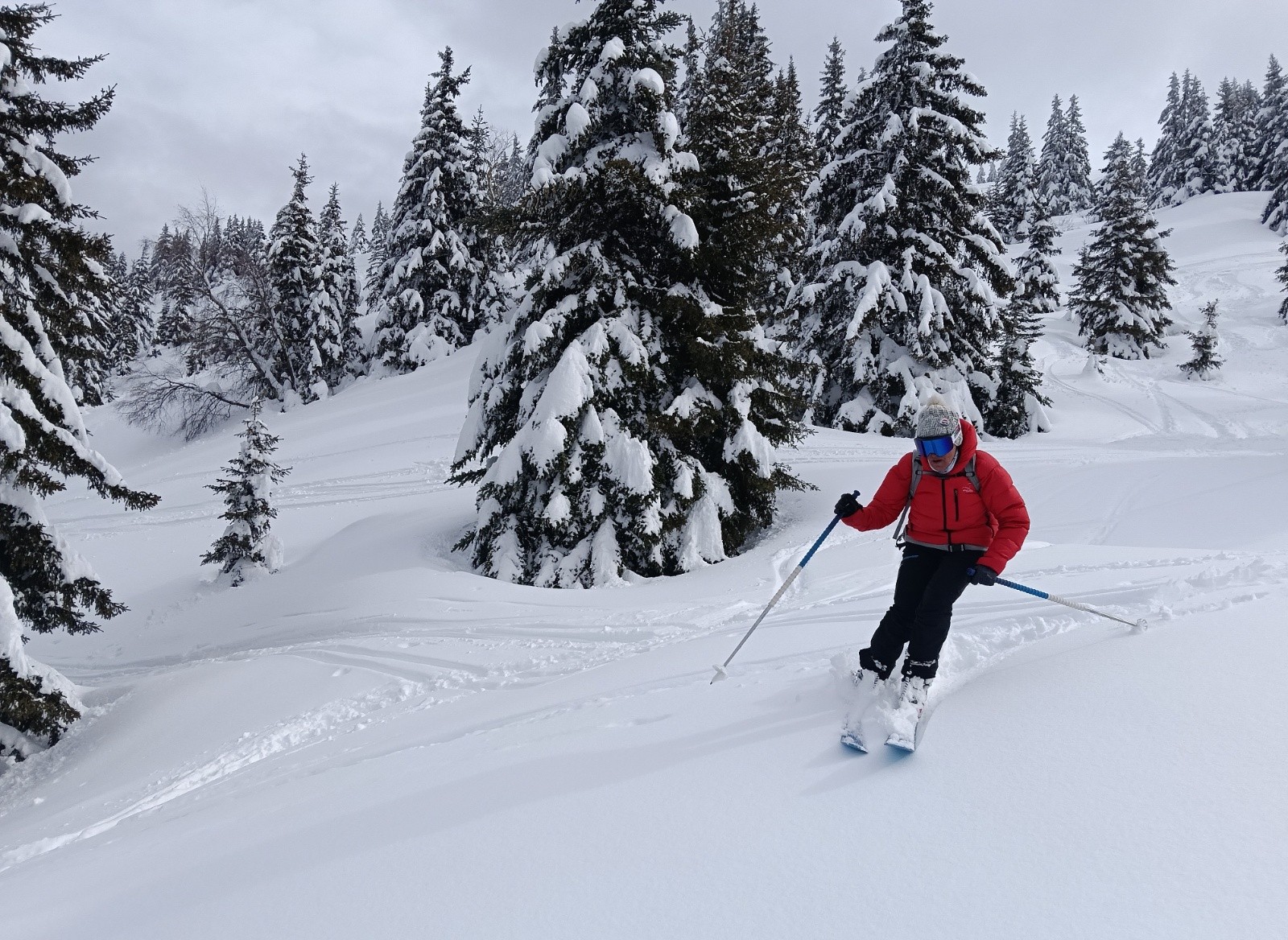 Entre les sapins&nbsp;&nbsp;