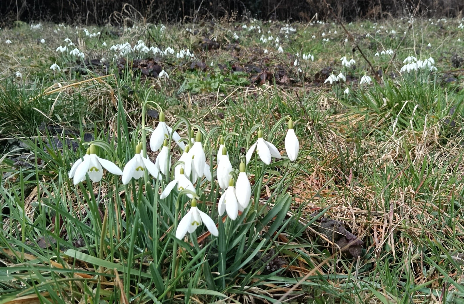 Sous le col c'est le printemps&nbsp;