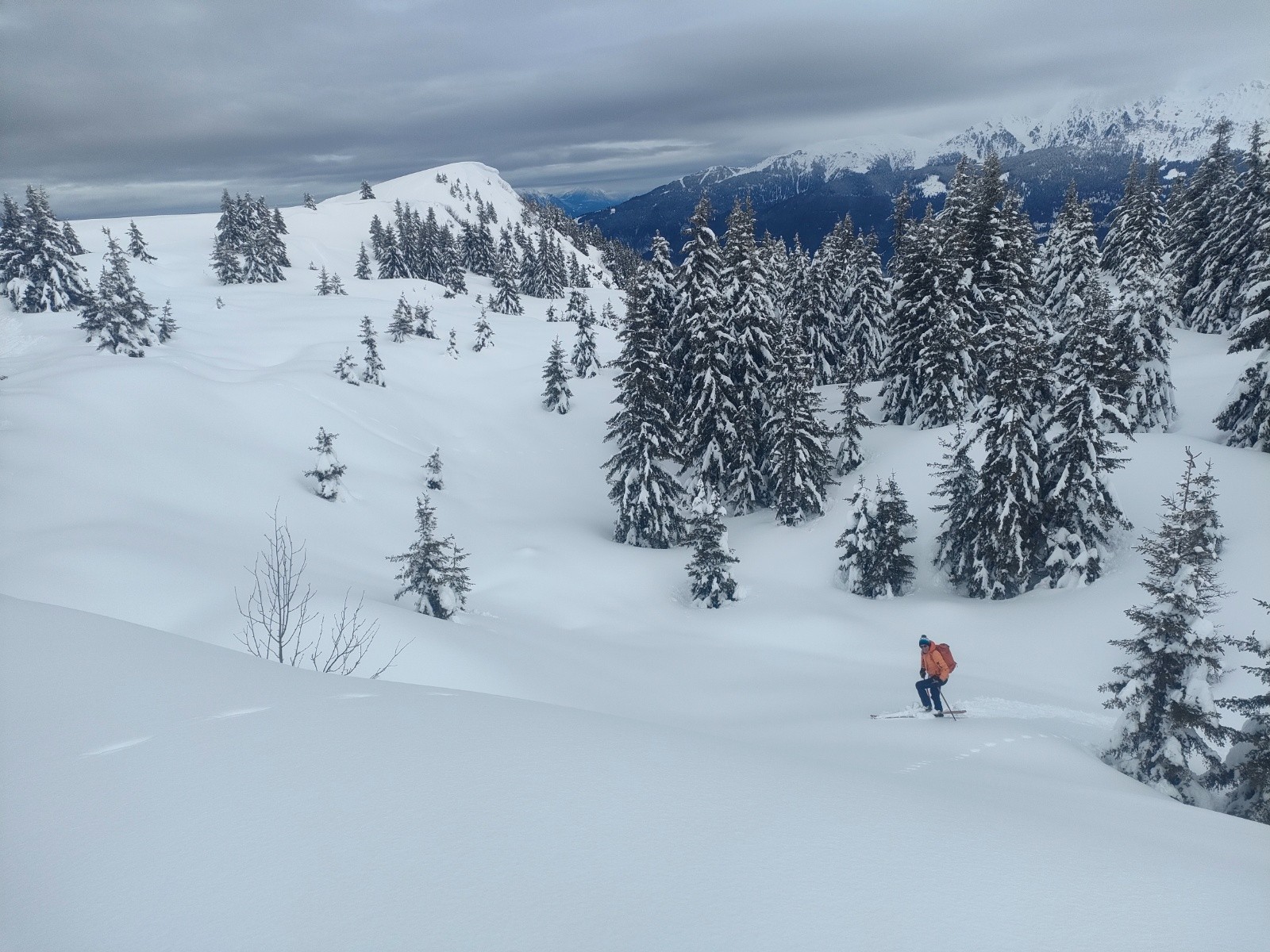 Pas grand monde aujourd'hui&nbsp;