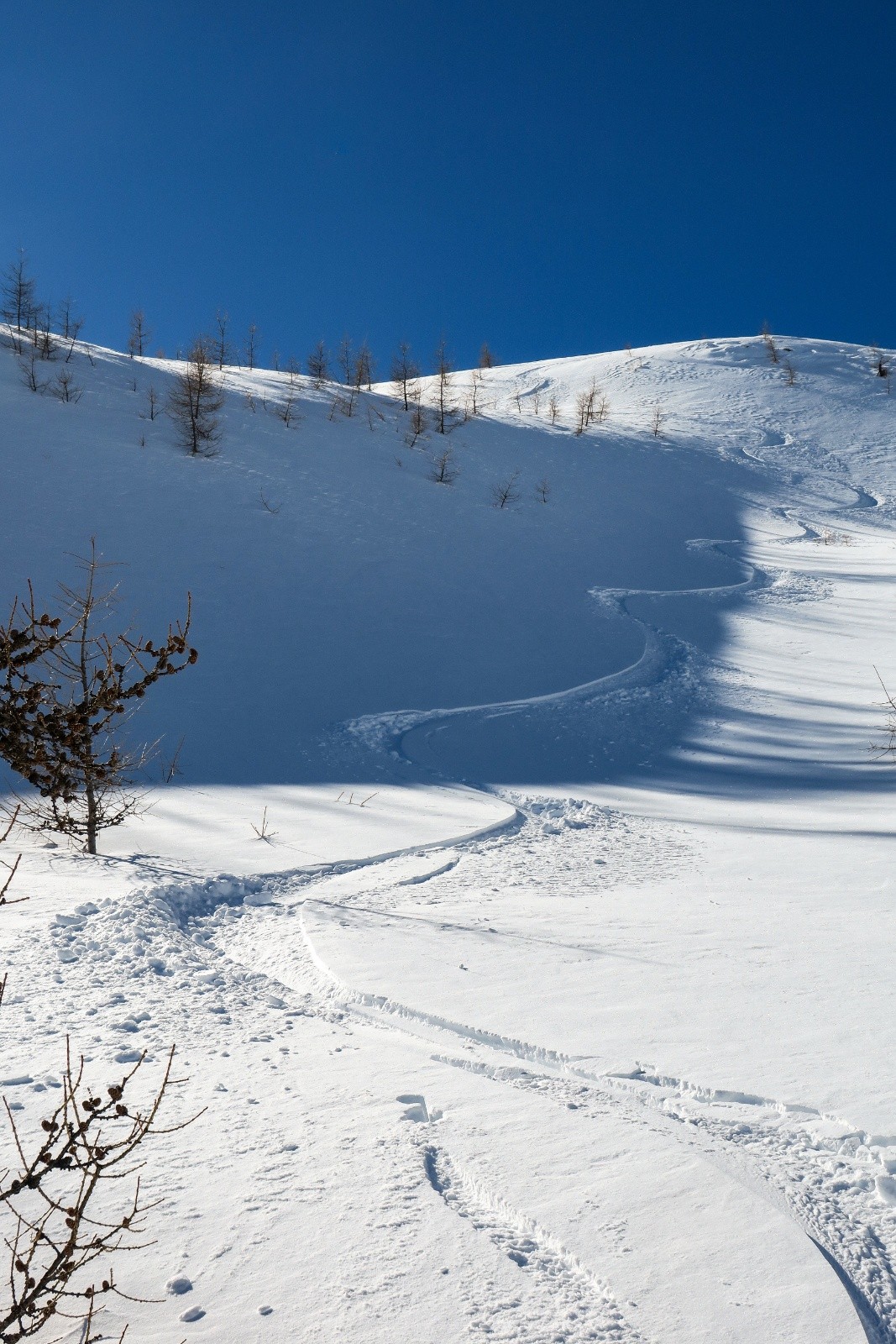 Succulent !&nbsp;&nbsp;