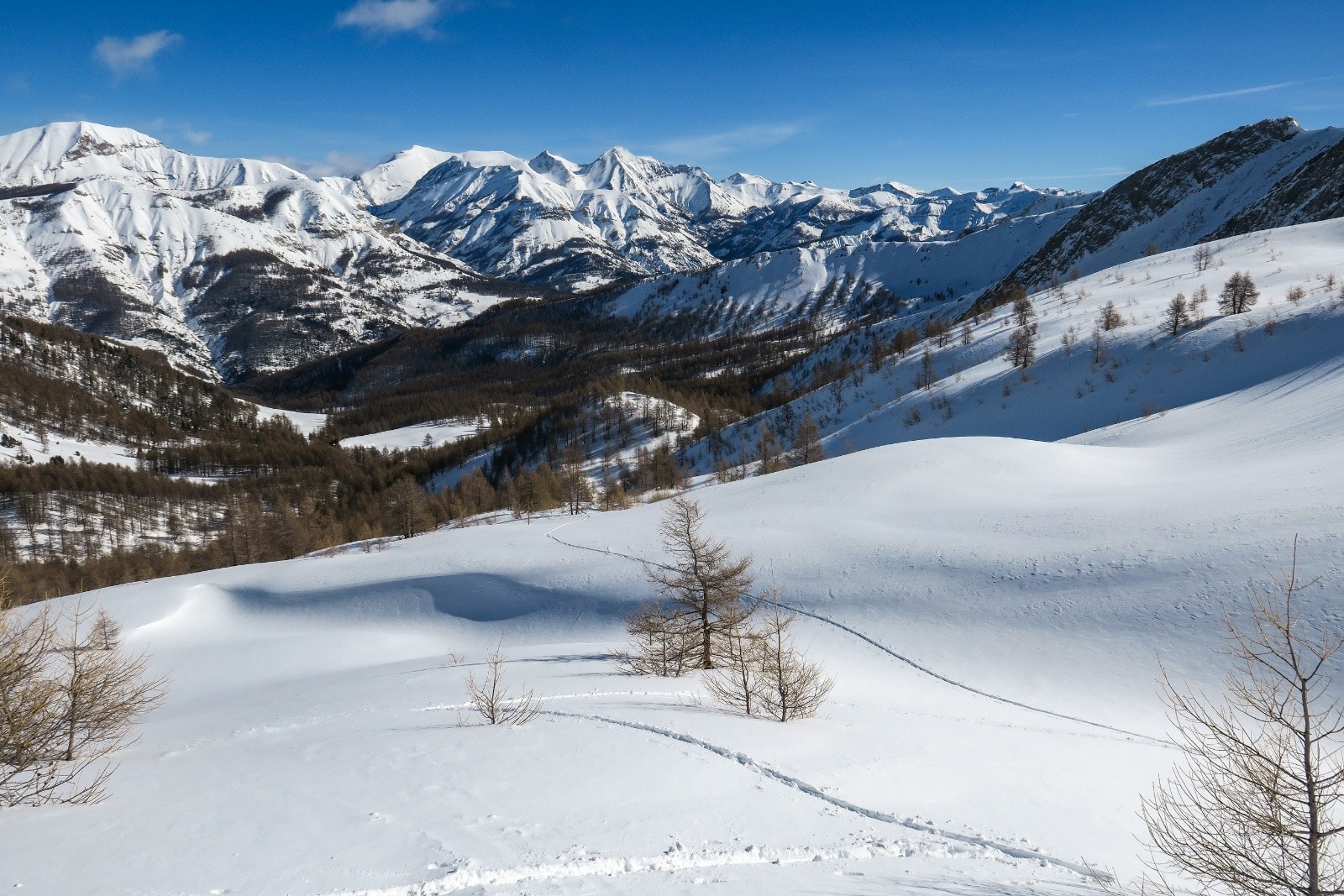 Joie de la trace&nbsp;