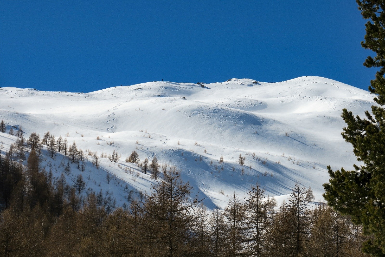 La signature, alors que le groupe de 4 arrive au sommet&nbsp;&nbsp;