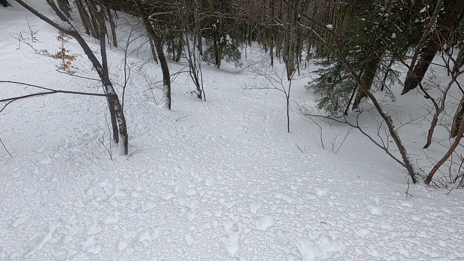 crougnette 100% vierge