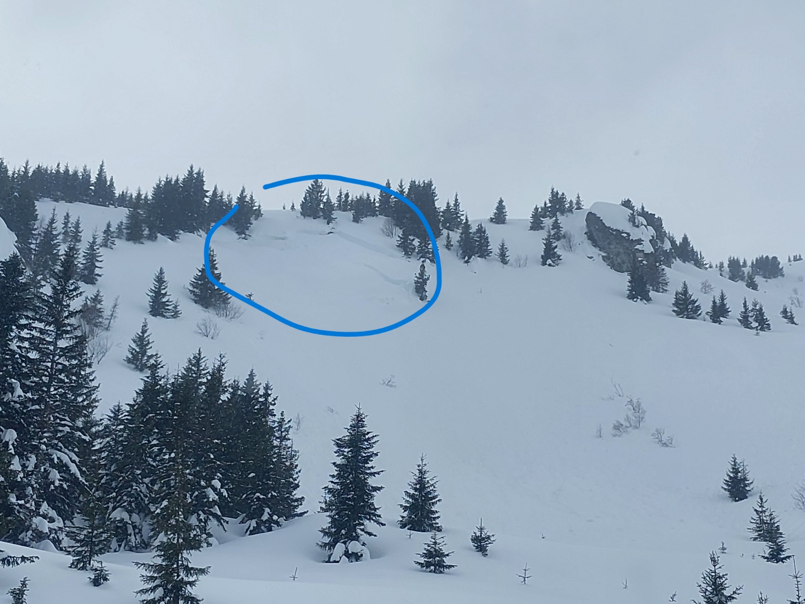 Sur la gauche en sortant de de la forêt