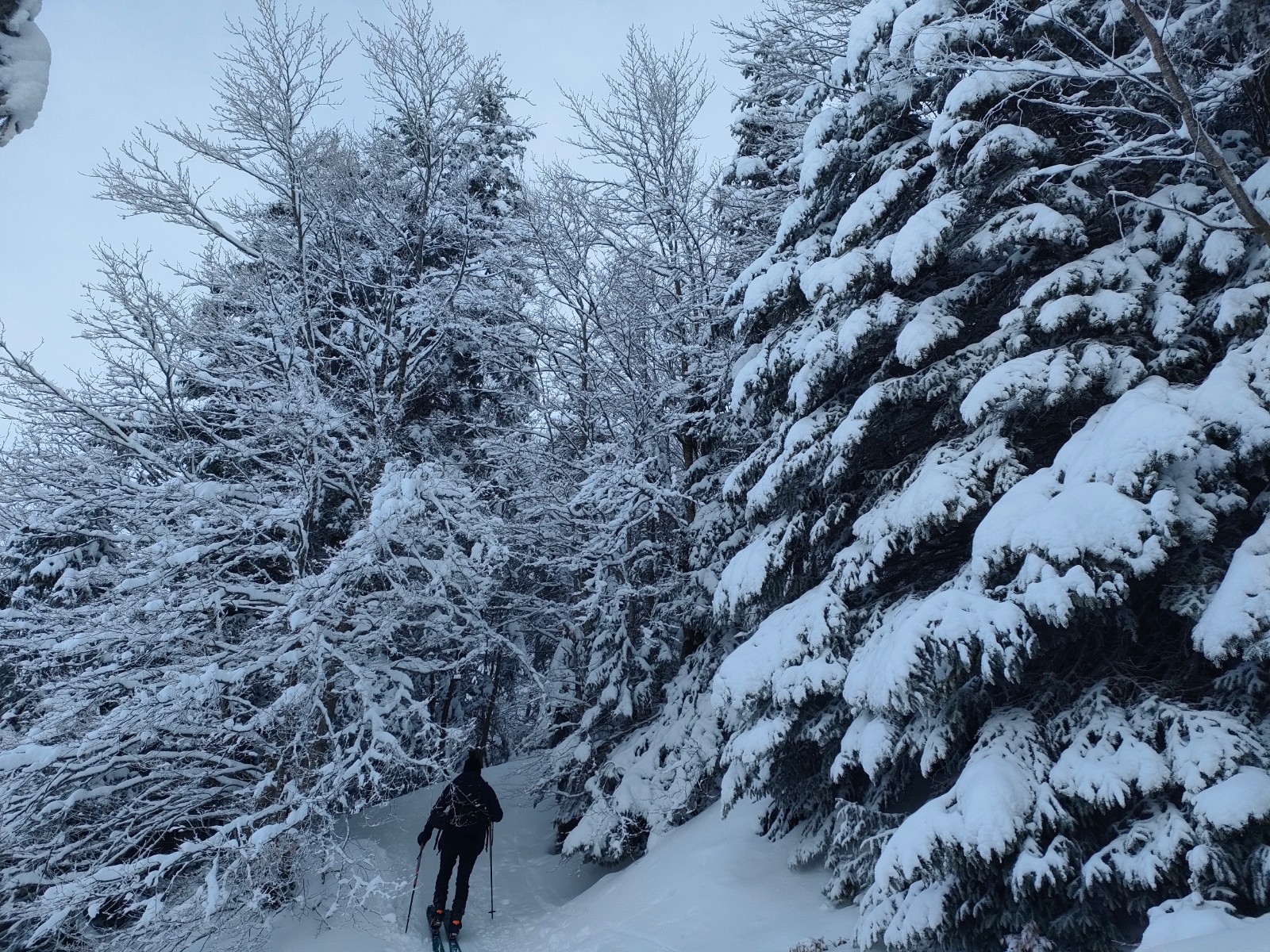 #3 Excursion en territoire Sami Excursion en territoire Sami