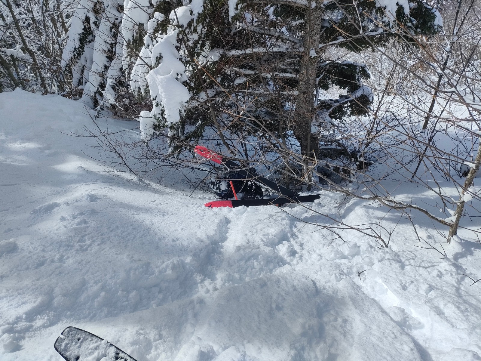 #11 Mais l Mais l'art du Ski sanglier est une subtile arcane