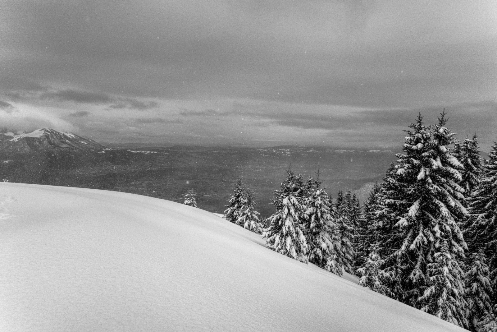 au petit Môle&nbsp;