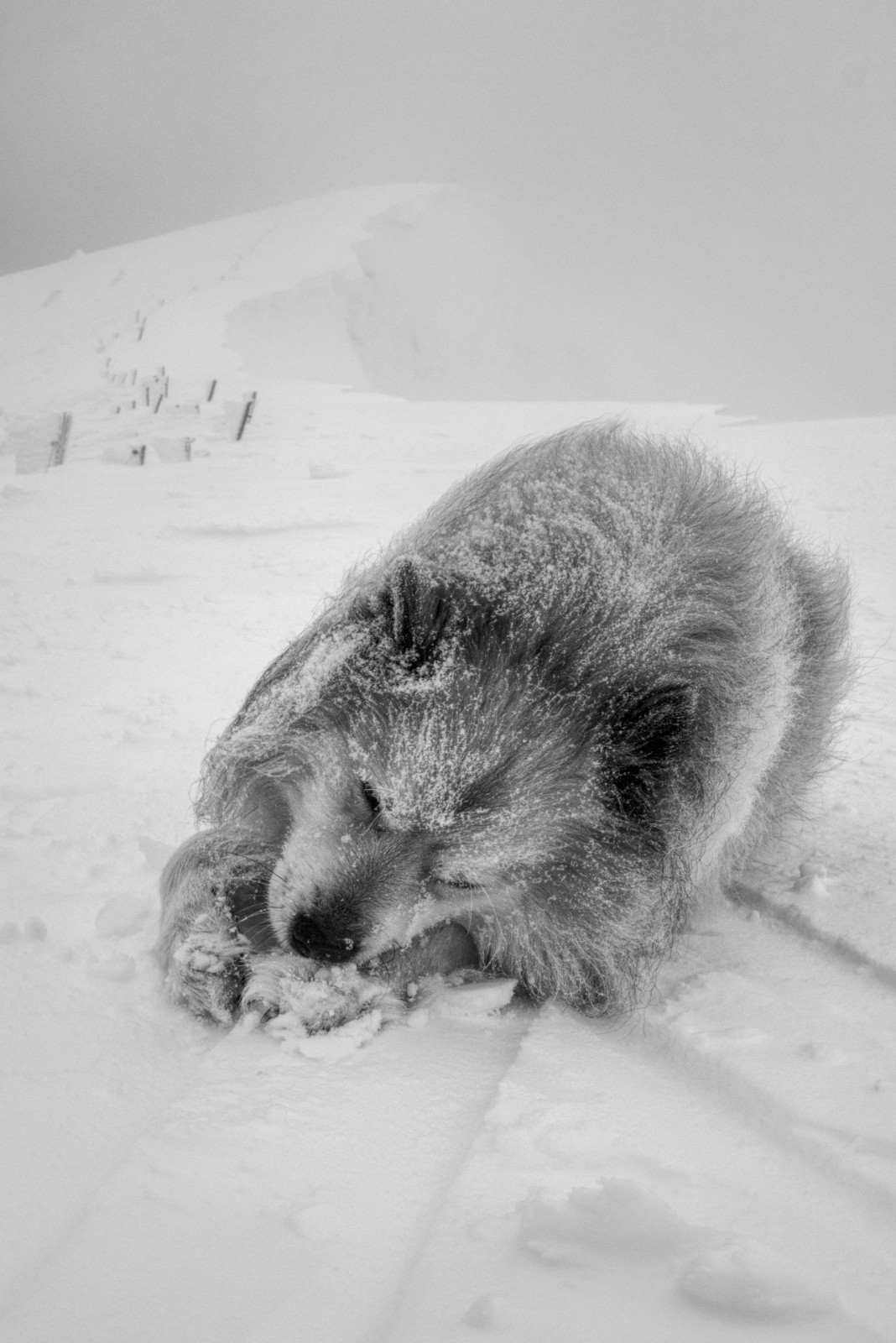 il faut farter pour bien glisser&nbsp;