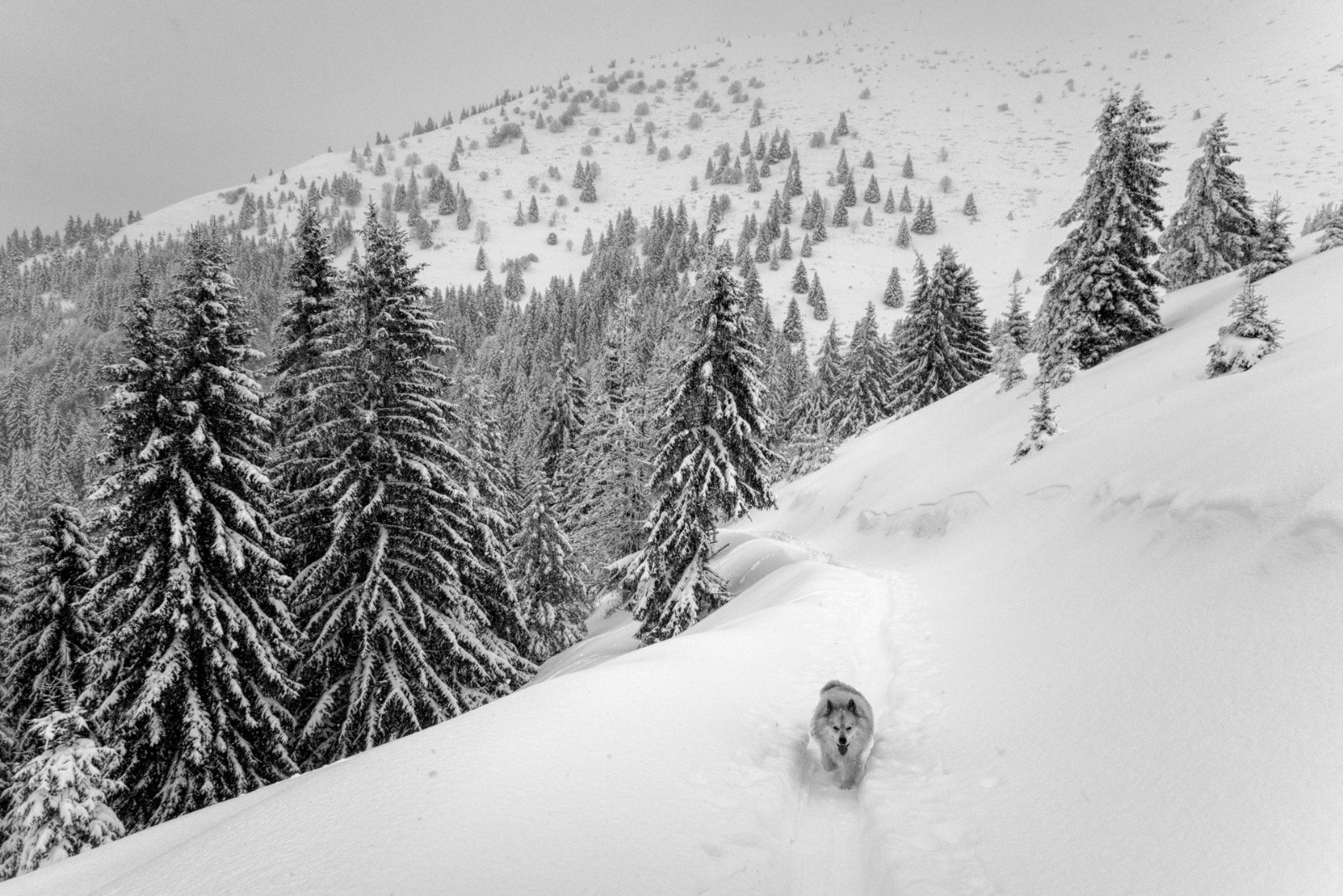 arrivée au Petit Môle&nbsp;
