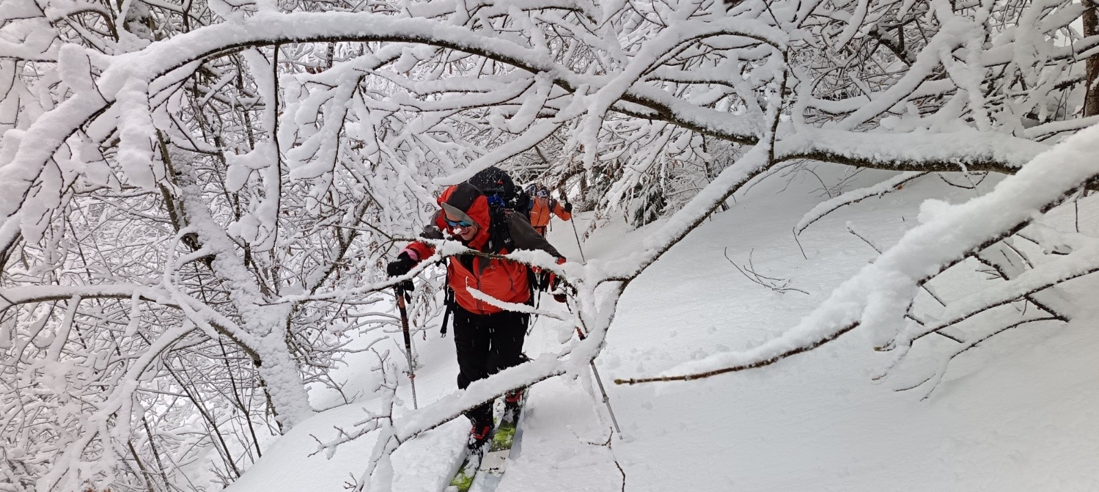 #2 Montée en forêt 🌲 Montée en forêt 🌲