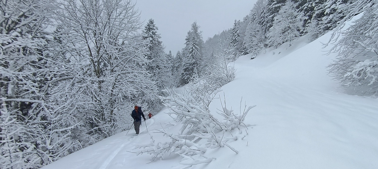 #3 Montée en forêt 😍 Montée en forêt 😍