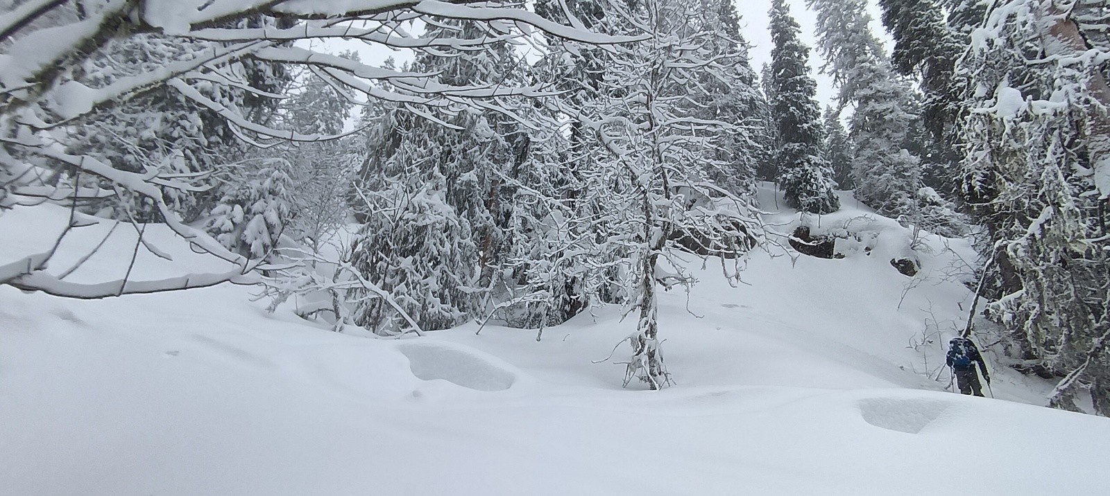 #5 Creux de la neige Creux de la neige