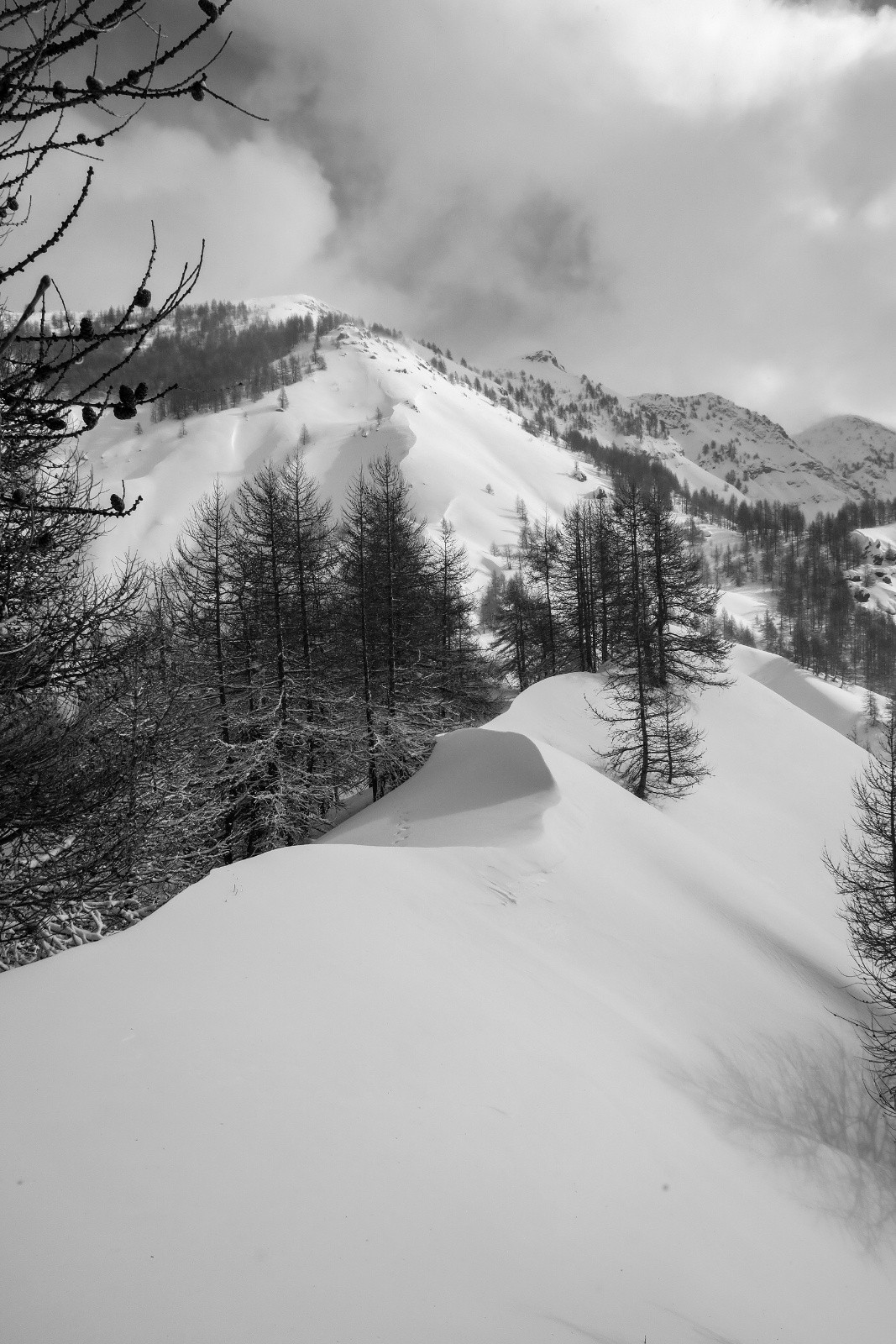 #5 On ira pas plus loin... On ira pas plus loin...