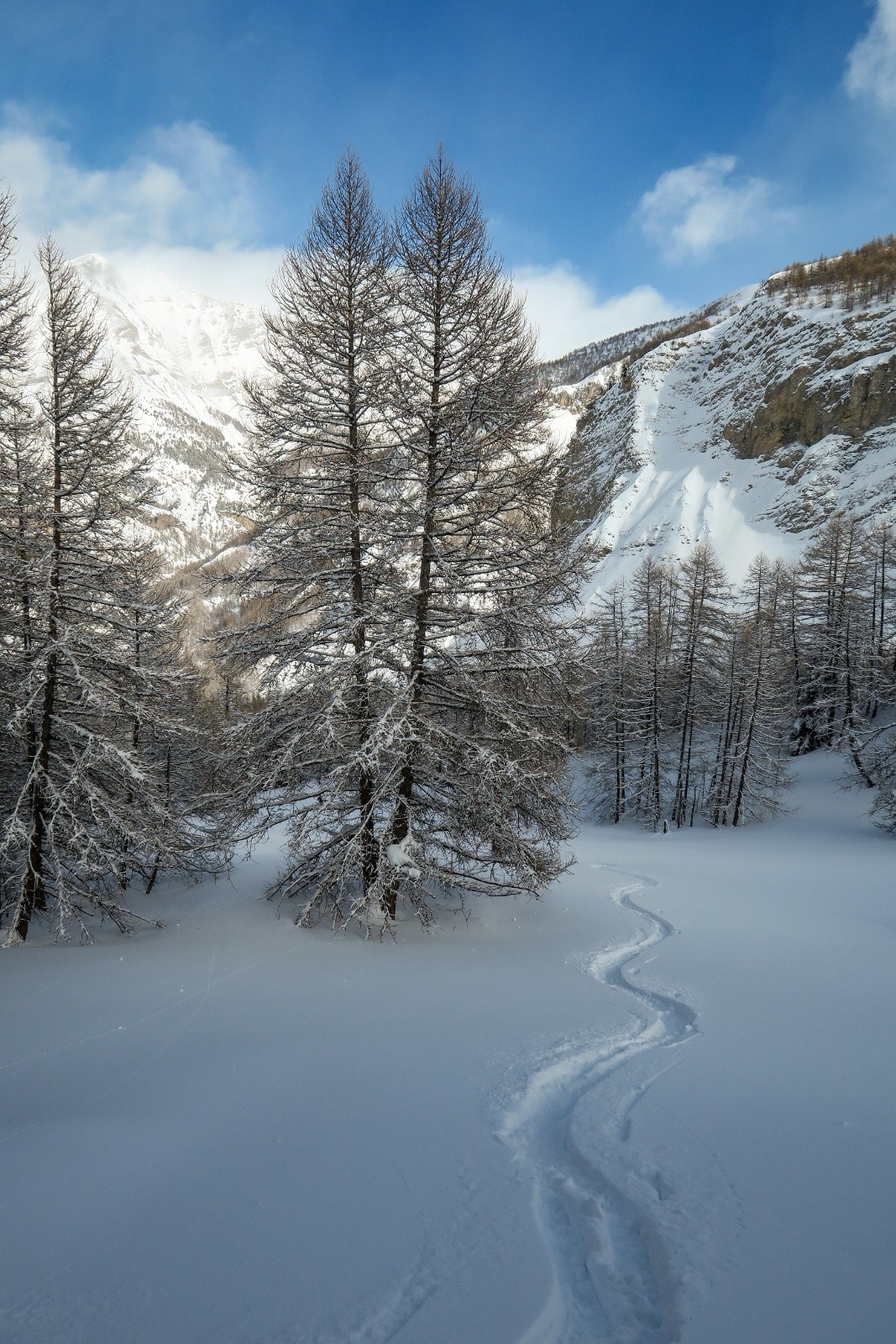 #6 Très bon ! Très bon !