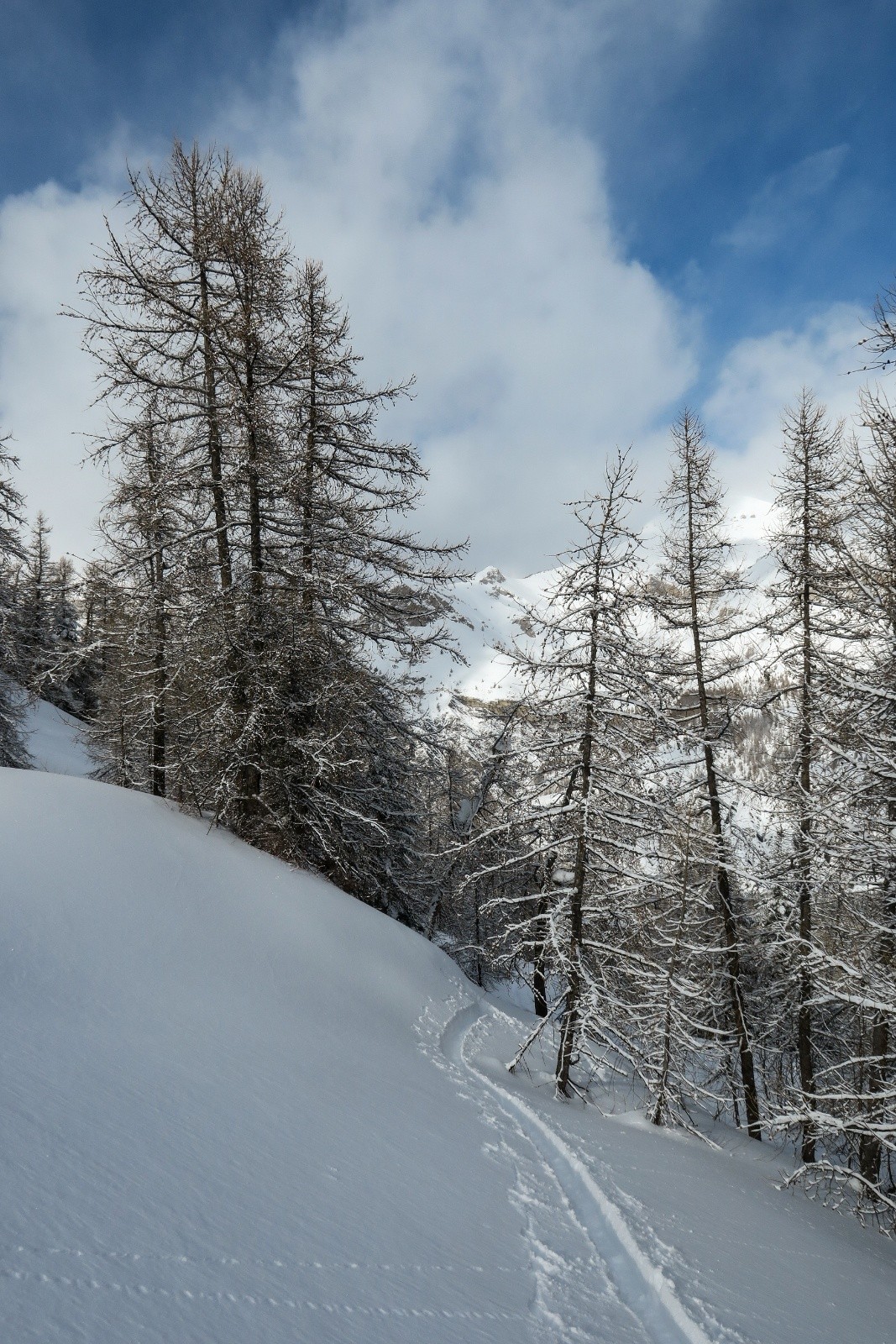 #8 Trace assez physique mais superbe Trace assez physique mais superbe