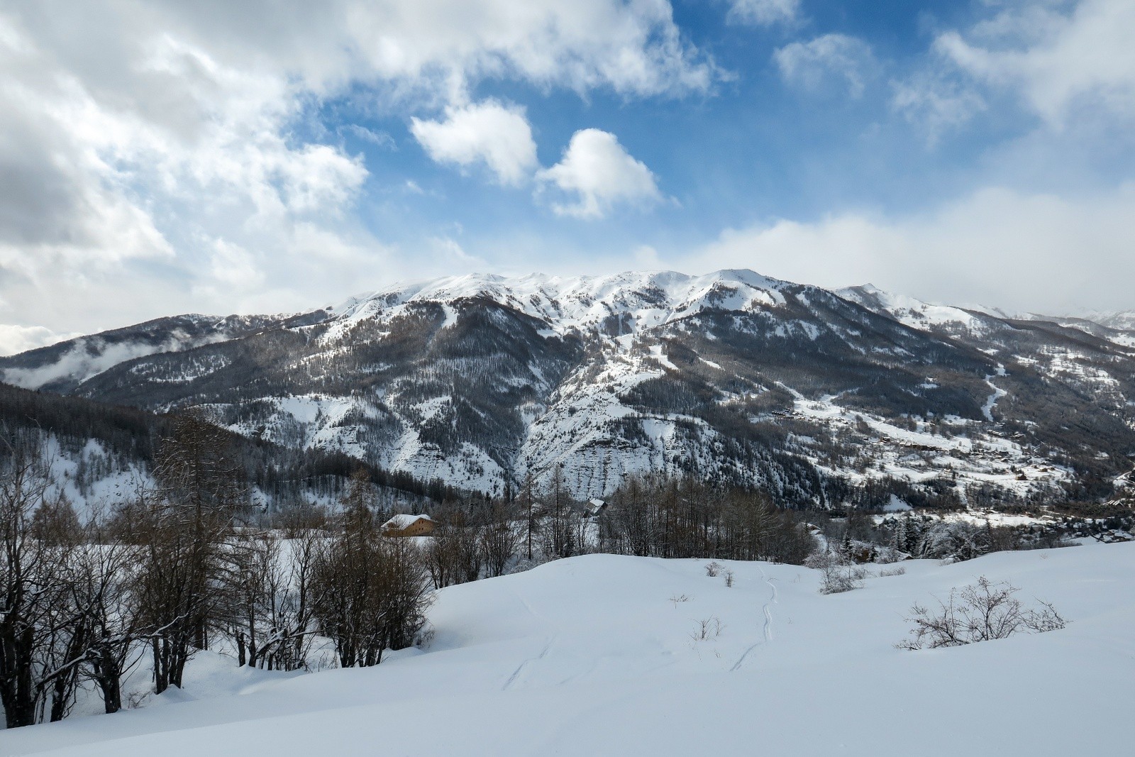 #2 Le Seignus Le Seignus