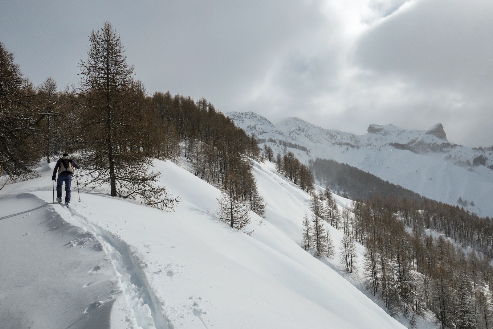 #3 Sur la crête des Prés hauts Sur la crête des Prés hauts