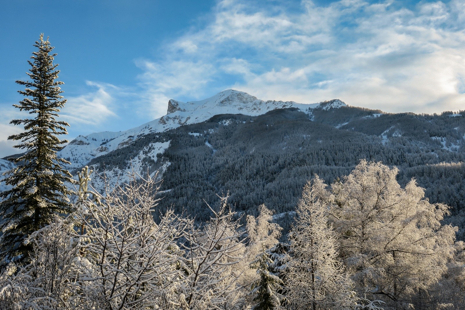 #1 Ce matin en ouvrant les volets !! Ce matin en ouvrant les volets !!