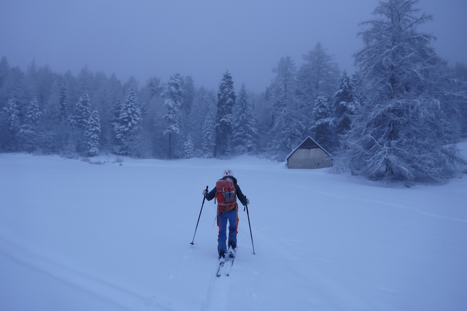 On retrouve la trace de Friz et Marinette&nbsp; 