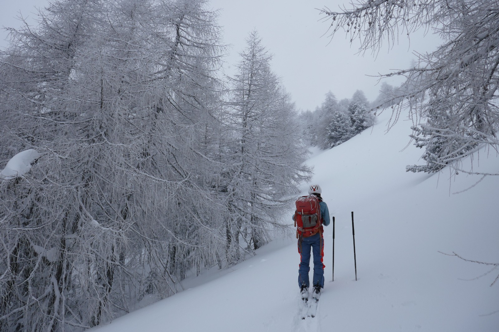 Il est où le sommet ?&nbsp; 