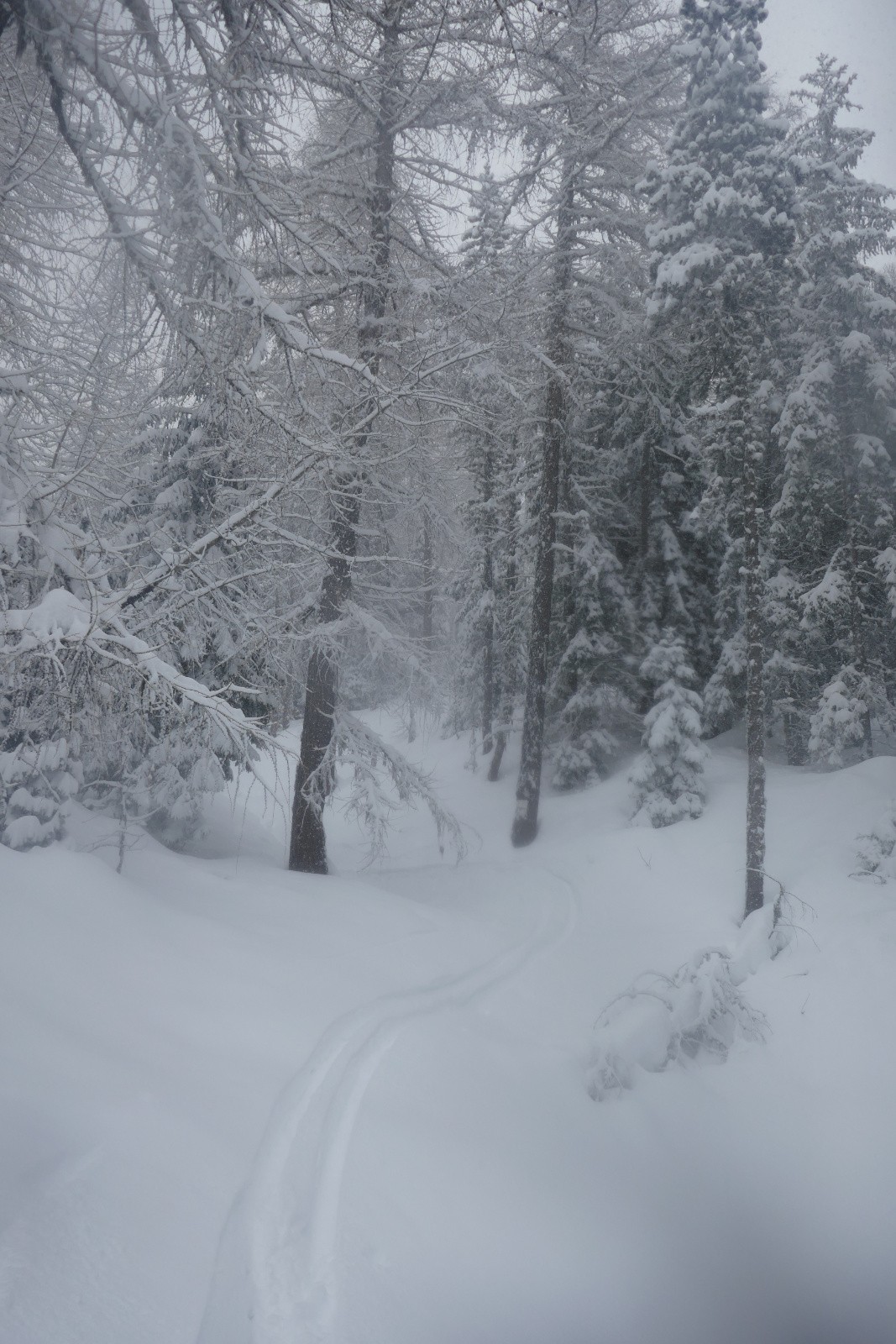 Fin de descente&nbsp; 