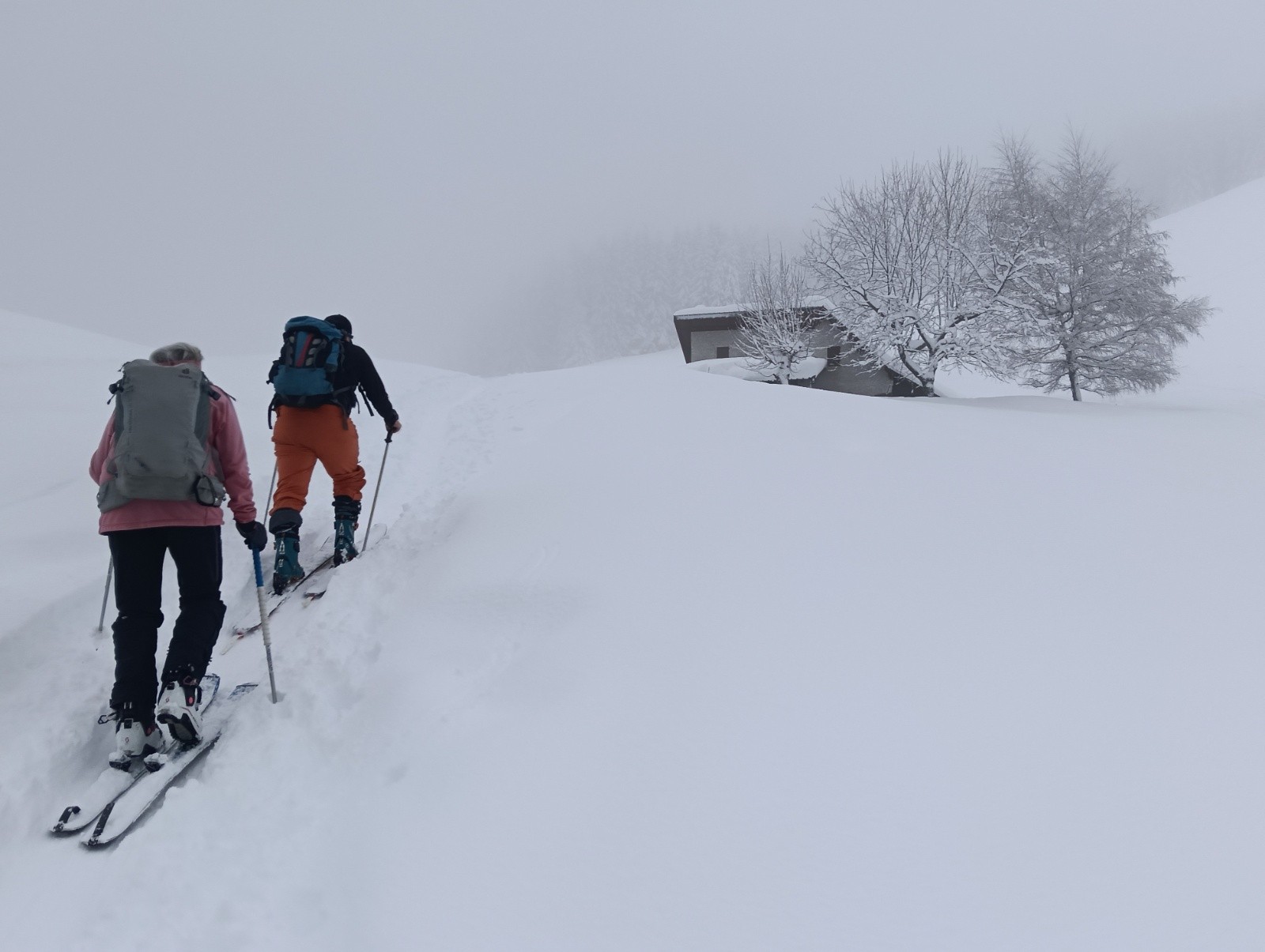 Balade brumeuse&nbsp;