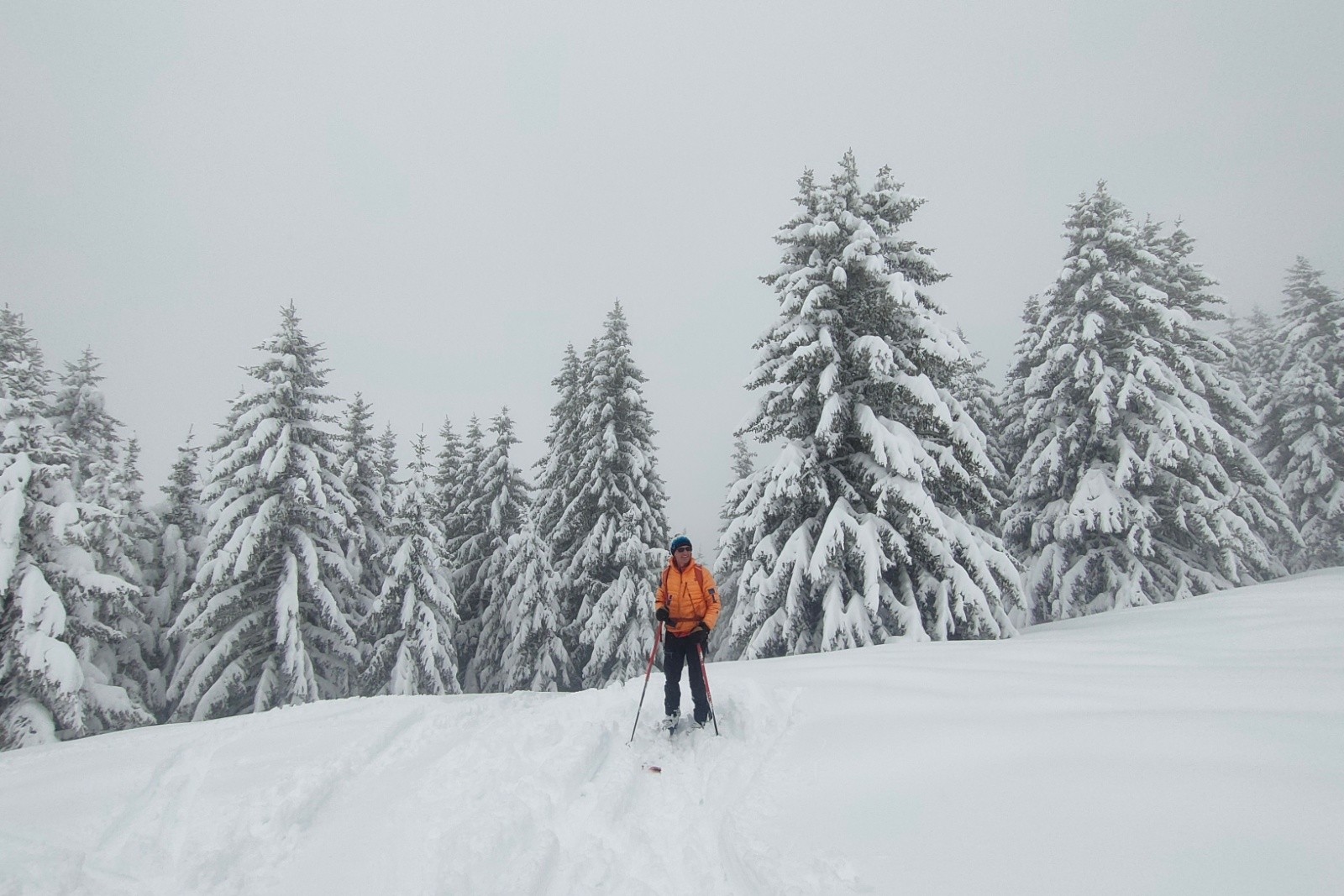 &nbsp;A l'orée du bois&nbsp;
