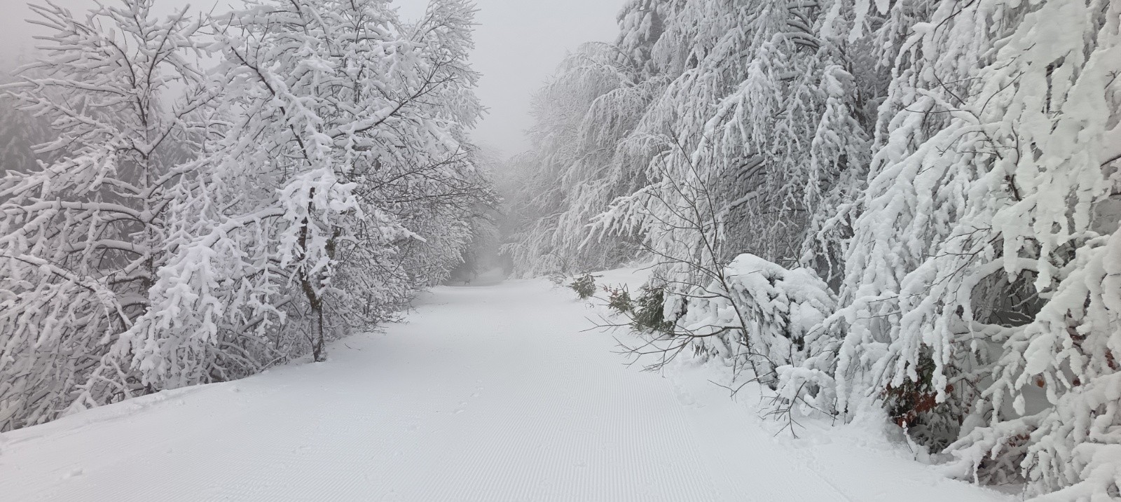 &nbsp;Le départ&nbsp;