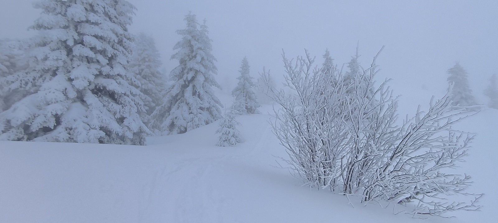 On va voir le soleil ?&nbsp;