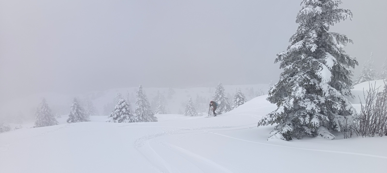 &nbsp;Descente top avant la forêt et que ca s'alourdisse