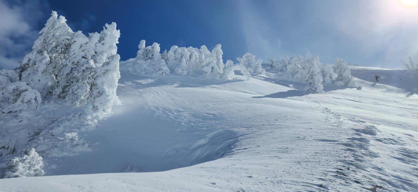 &nbsp;Ah oui 😎!&nbsp;