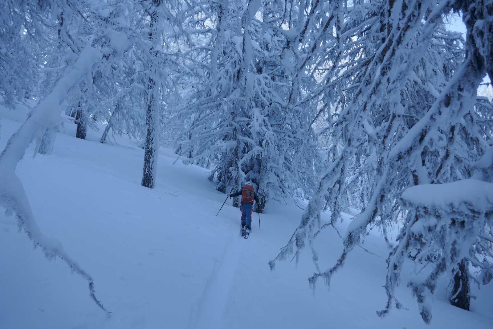 Suivre la trace&nbsp; 