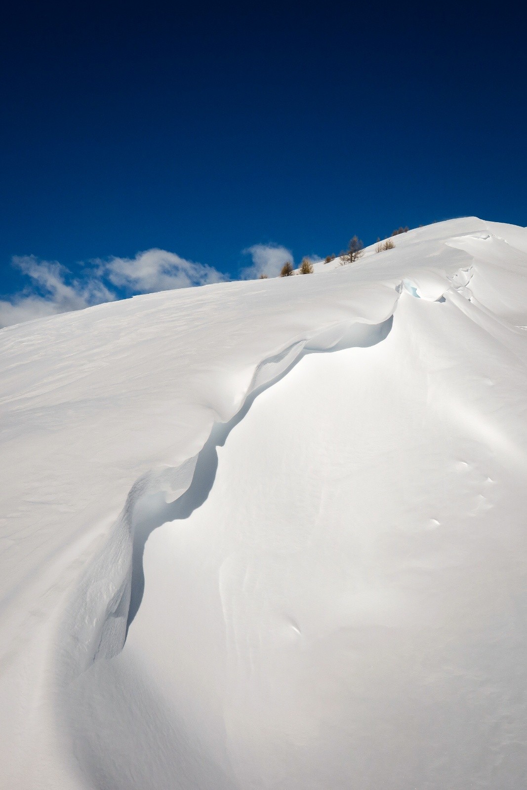 #4 Sculpture Sculpture