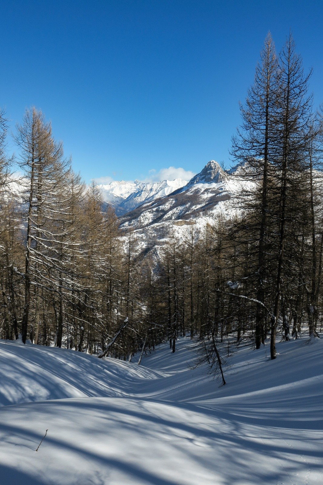 #10 Quel beau terrain de jeu Quel beau terrain de jeu