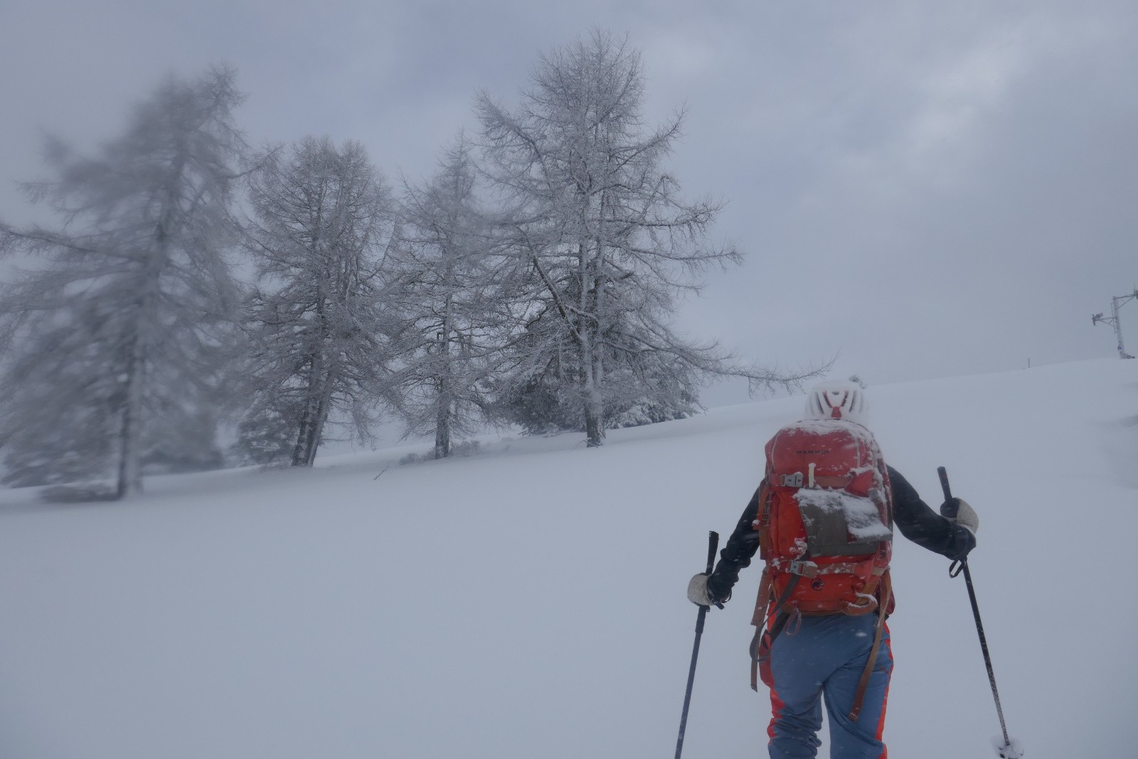 #3 Une éclaircie ? Une éclaircie ?